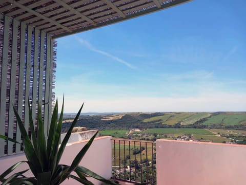 Enjoy, 180º, uniterrupted views from the private terrace