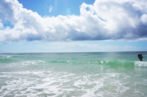 Welcome to OZ Island Retreat! Where the OCEAN Meets the BAY & You're HAPPY all Day!