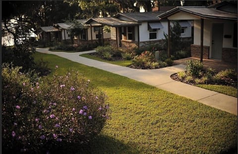 View of 4 of our cottages.