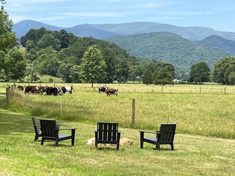 Summer is in full swing here at The Friar