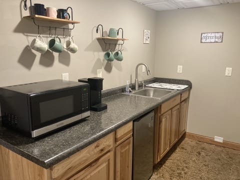 Lower level mini-kitchen