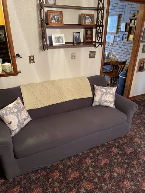 Back dining room & Pull out couch.