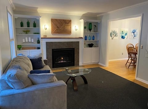 Fireplace room with gas fireplace