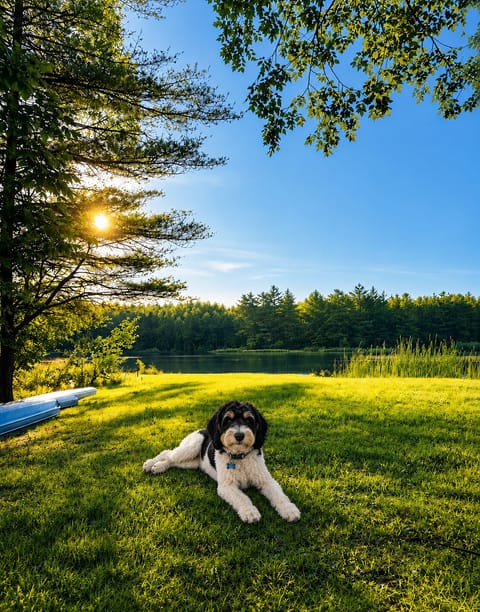 Private lakeside escape just steps from the water — perfect for morning coffee, kayaking, and sunset views and a pet-friendly vibe