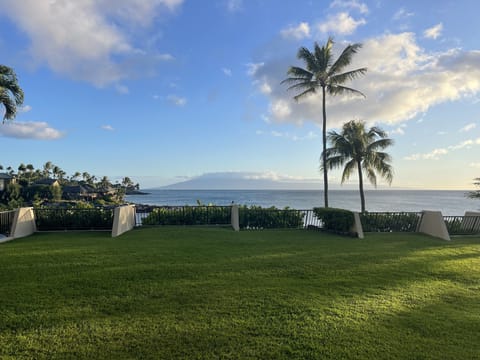 Walk right out the back lanai (patio) of the first floor unit to this….