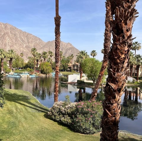 Your beautiful view!