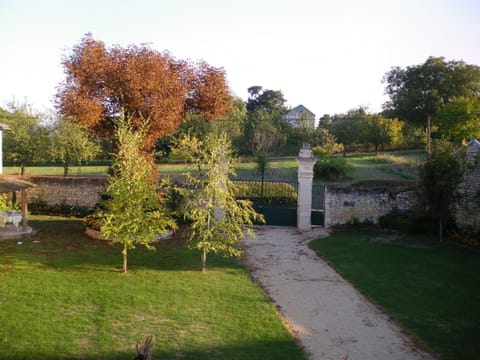 View from the window