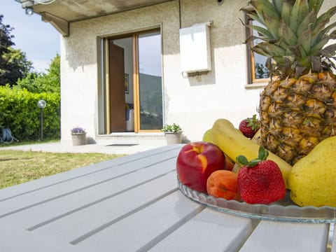 Plant, Building, Food, Green, Fruit, Window, Interior Design, Yellow