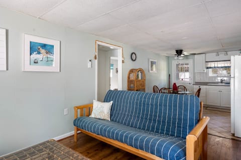 Lower Level living room- Sleeper Futon