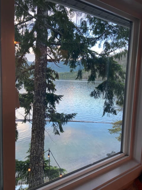 View from one of the kitchen windows
Lakefront yet forested Nature at its finest