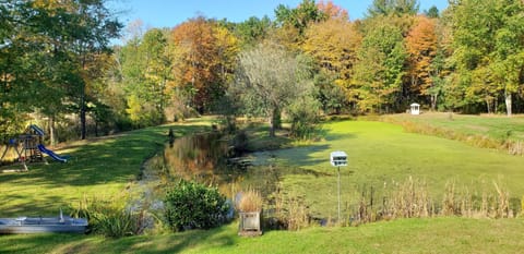 Our beautiful stream fed pond!