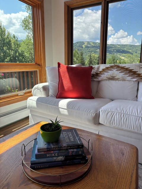 Comfortable Living area to enjoy the views of the mountains.