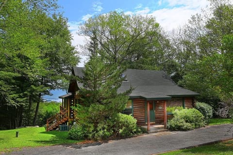 Peaceful Moose in a Summer peaceful mood !