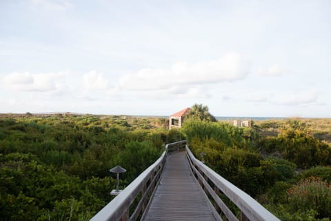 Boardwalk to the beach