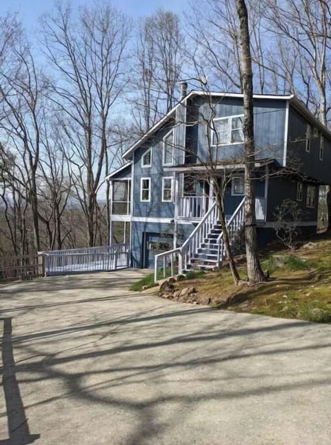 Owl Landing/ The Tree House