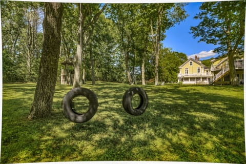 Back yard tire swings