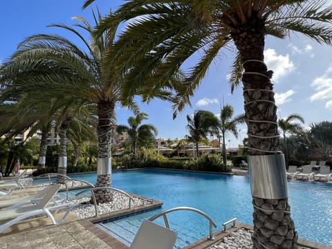 Gorgeous palm trees, plenty of lounge seats at this inviting pool area.