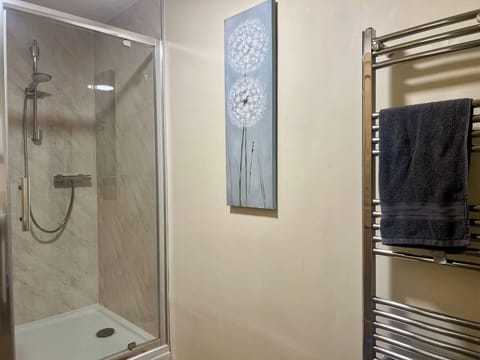 Downstairs shower room with sink and toilet.