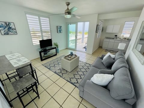 Ceiling fan and AC unit in the living room.
