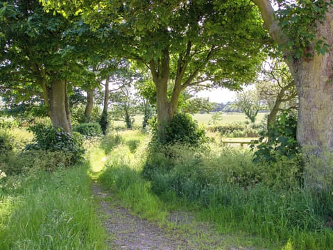 Surrounding area | Scalby Lodge - Lodge Cottage, Scalby