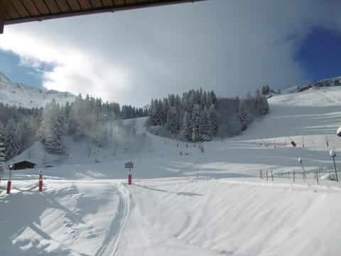 Snow and ski sports