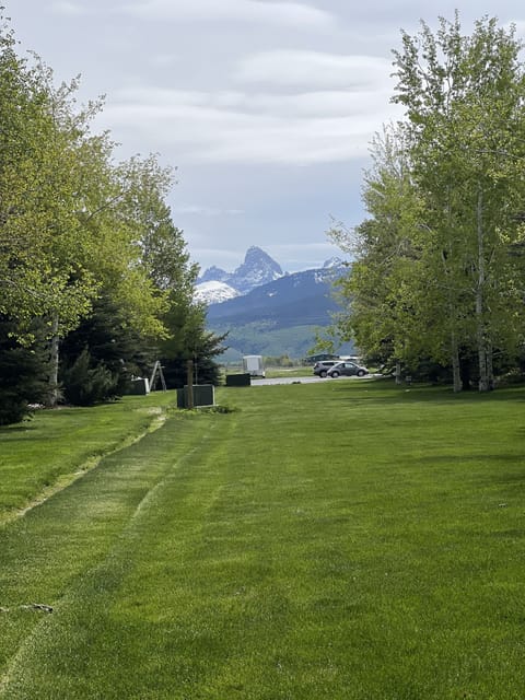 View from the back porch of condo