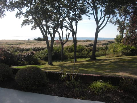 View from the front patio.
