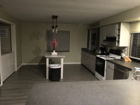 Big kitchen with full size washer and dryer.