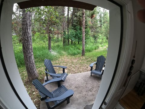 Back patio with 4 chairs and BBQ