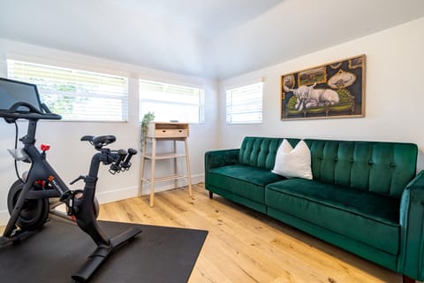 Peloton Room with a standing desk and a pull-out couch.