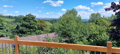 View from the Balcony