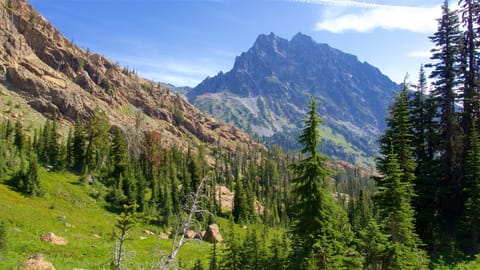 Hike through the Cascade Trails located just 20 miles from Chelan.