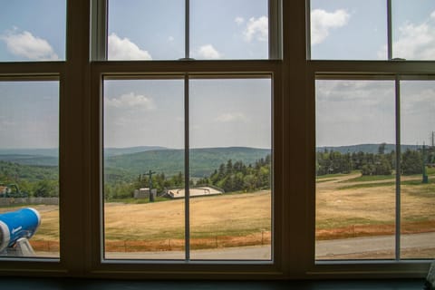 View from the window of the studio