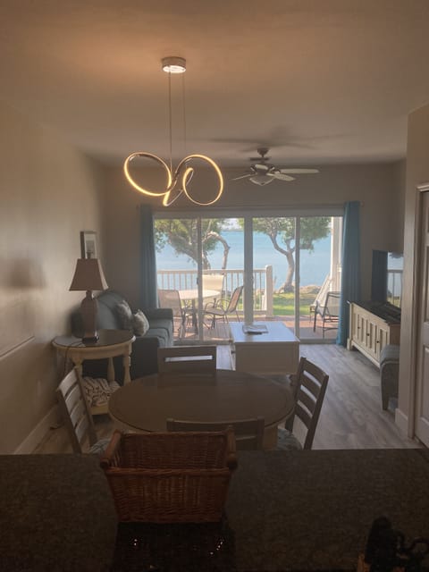 View from the kitchen. (Pullout couch)