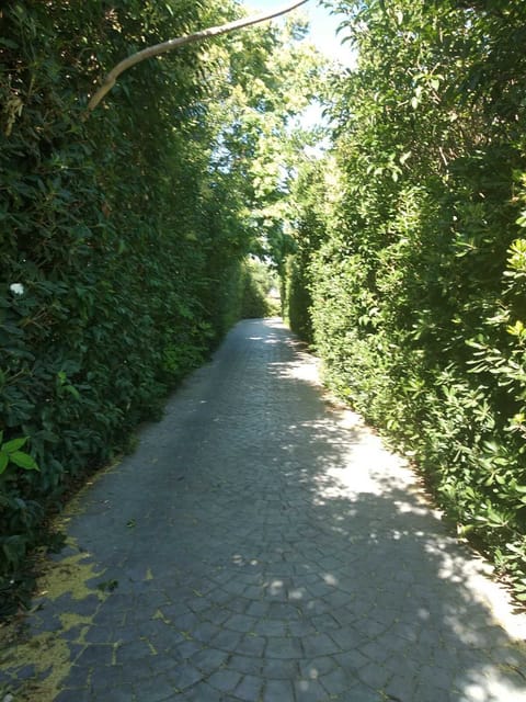 External accommodation space