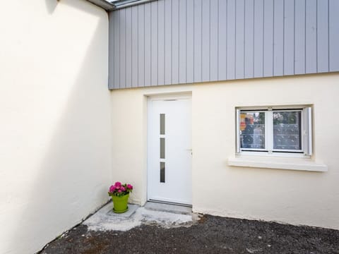 Plant, Flower, Property, Window, Building, Flowerpot, Wood, Wall, Line