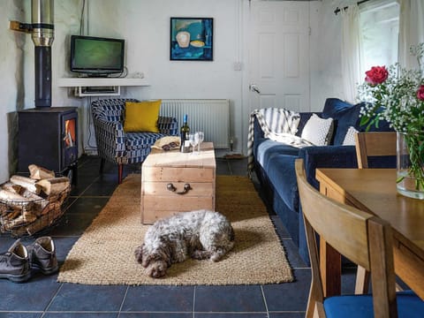 Open plan living space | Stables - Bach Wen Cottages, Clynnog Fawr