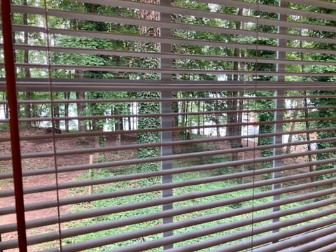 beautiful view of the lake and the woods from both living room and master