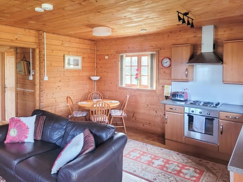 Open plan living space | Forest Lodge, Kippford near Dalbeattie