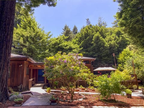 Serenity Grove - peaceful and serene