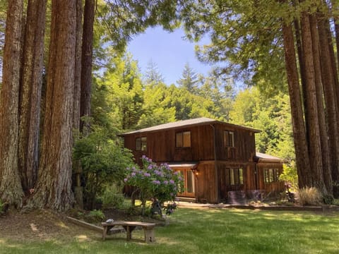 Serenity Grove - Chill and relax - Welcome