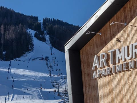 Apartment/apartment, shower, WC, 1 bedroom - Artmur Apartmenthaus Apartment in Carinthia, Austria