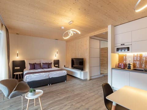 Apartment/apartment, shower, WC, 1 bedroom - Artmur Apartmenthaus Apartment in Carinthia, Austria