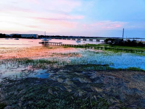 Hello Folly!