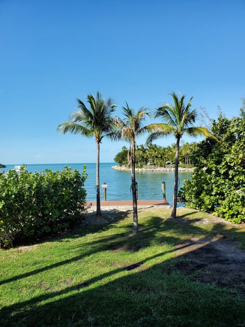 Relaxing Getaway Location to Explore the Keys Apartment in Marathon