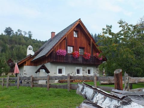 Ferienhaus "alte Schmiede" - Ferienhaus/3 Schlafräume/ Dusche, WC Farm Stay in Carinthia, Austria