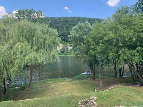 Views from the kitchen windows