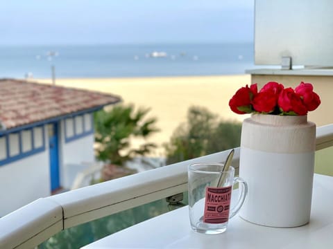 Water, Flower, Plant, Sky, Property, Azure, Table, Drinkware, Window, Outdoor Furniture