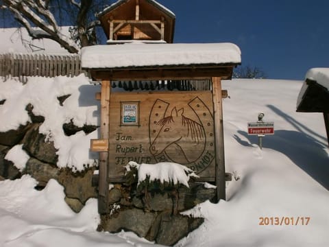 Double room with shower, WC - Reitbauernhof Ferner Farm Stay in Carinthia, Austria