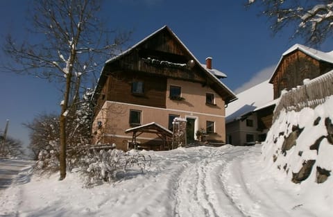Double room with shower, WC - Reitbauernhof Ferner Farm Stay in Carinthia, Austria